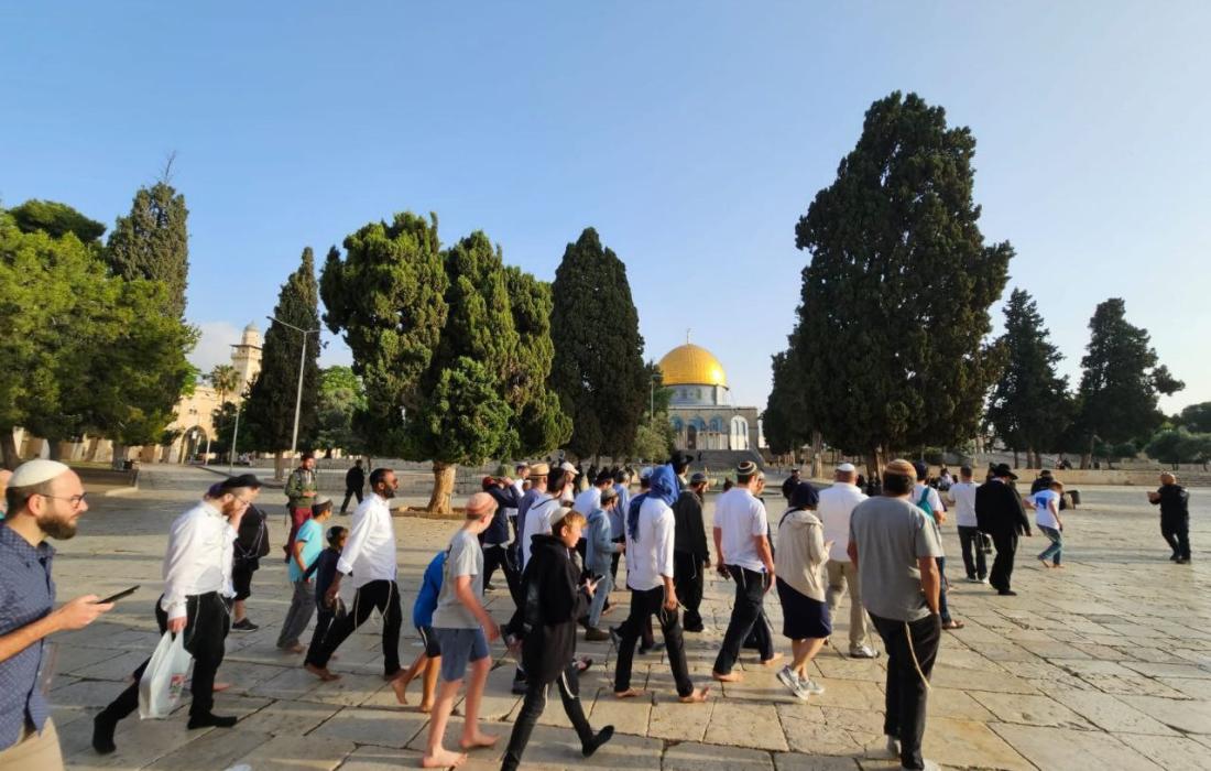 قطعان المستوطنين تبدا باقتحام باحات المسجد الاقصى المبارك